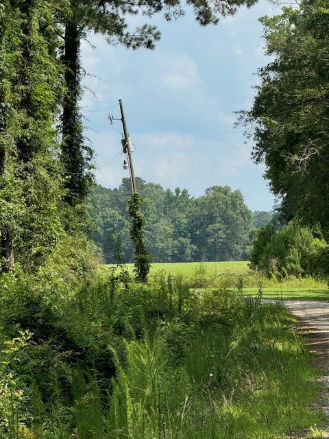 0 Bluebird Trail St. George, SC 29477 - Photo 6 of 6 IMG_6791