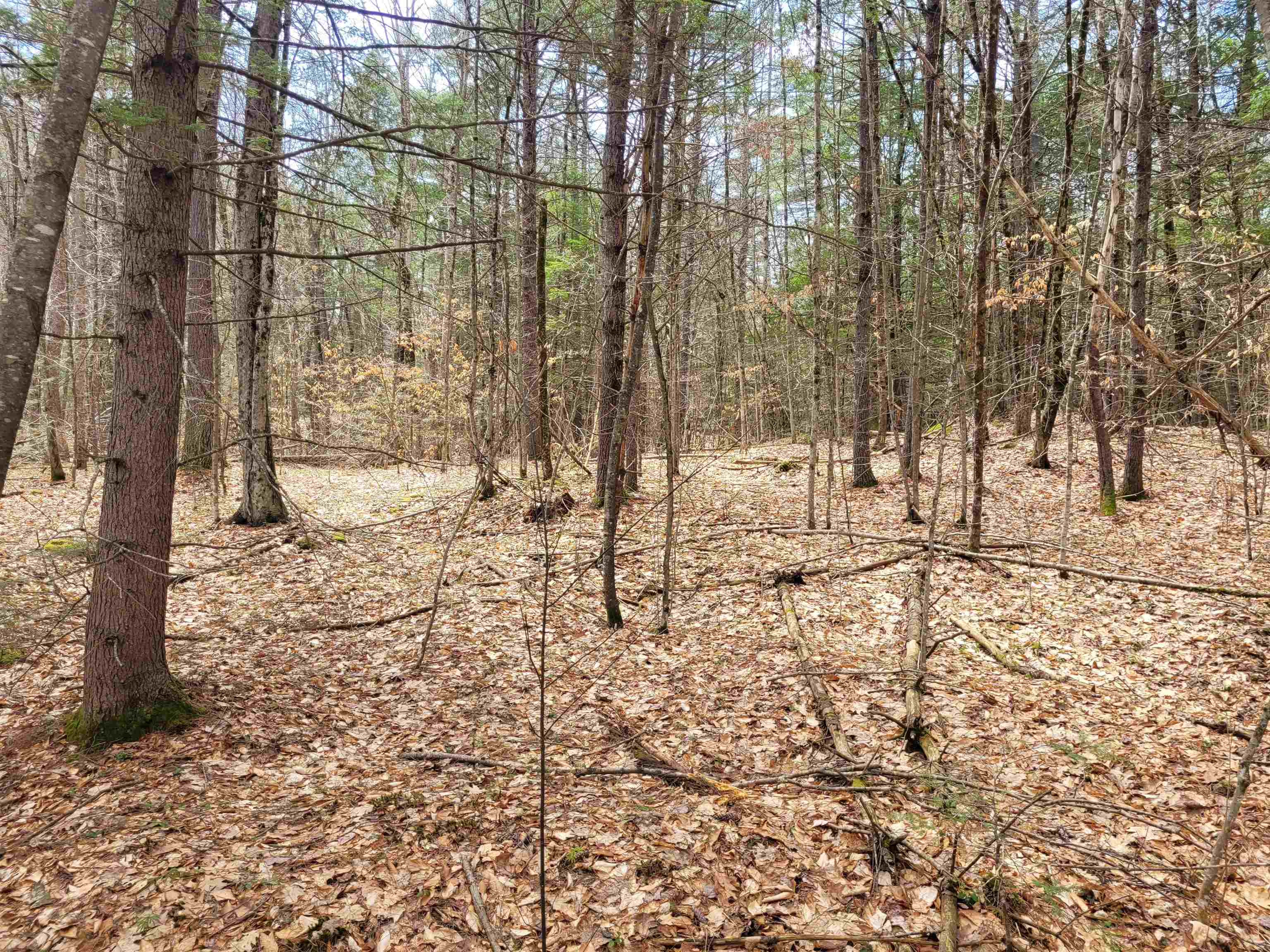 0 Tipping Rock Road Winchester, NH 03470 - Photo 3 of 5