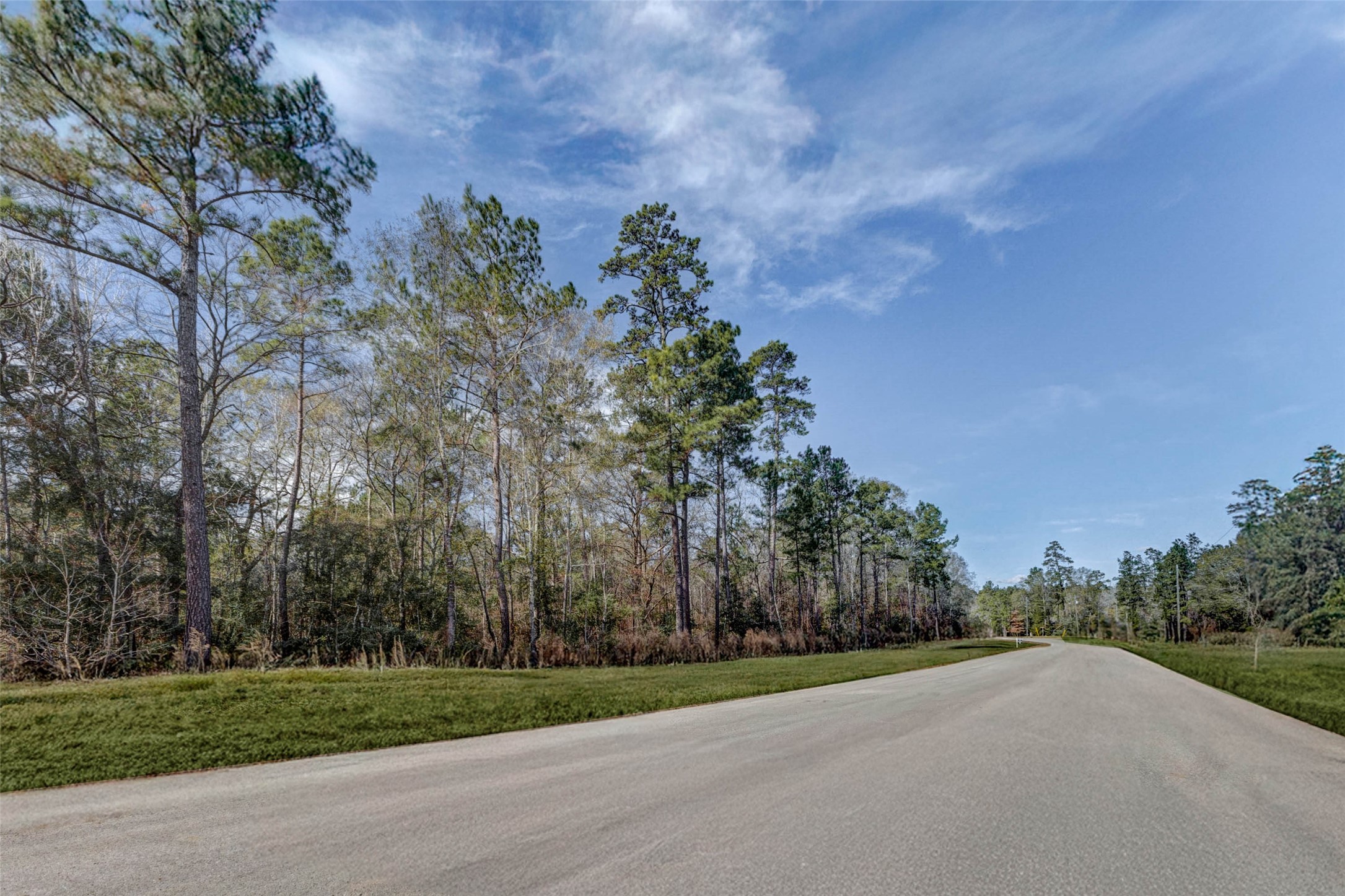 0 Bighorn Road Huntsville, TX 77340 - Photo 3 of 22 Looking down the tree-lined street with vibrant greenery and freshly paved roads, this photo highlights the peaceful entrance to the lot. The blend of native pine trees and wide open sky creates a scenic and welcoming approach.