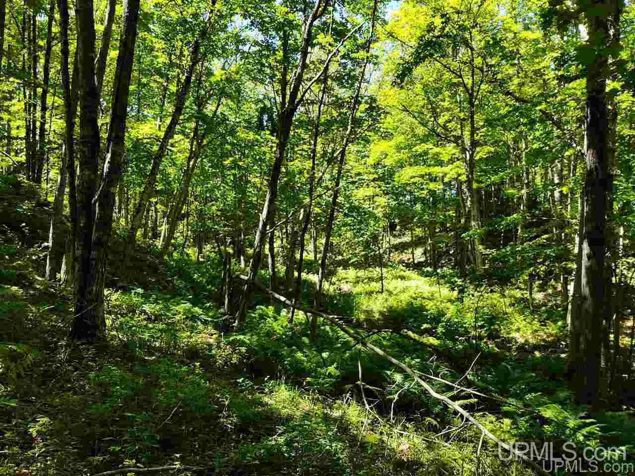 Tbd Tbd Indian Cemetery Road Lanse, MI 49946 - Photo 31 of 40