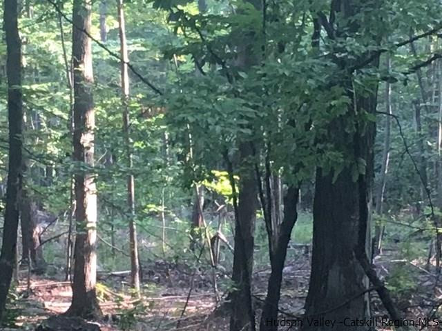 Tbd Tbd Crescent Avenue Highland, NY 12528 - Photo 5 of 9 a view of outdoor seating