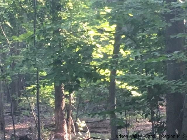 Tbd Tbd Crescent Avenue Highland, NY 12528 - Photo 6 of 9 a view of tree