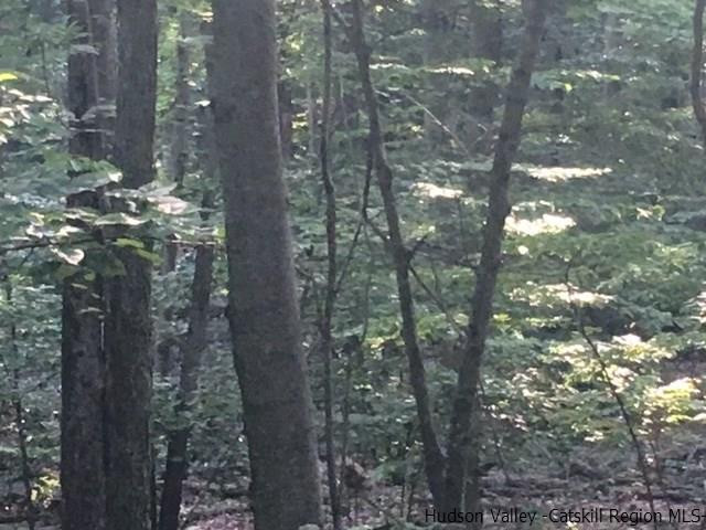 Tbd Tbd Crescent Avenue Highland, NY 12528 - Photo 7 of 9 a view of a city with tall trees