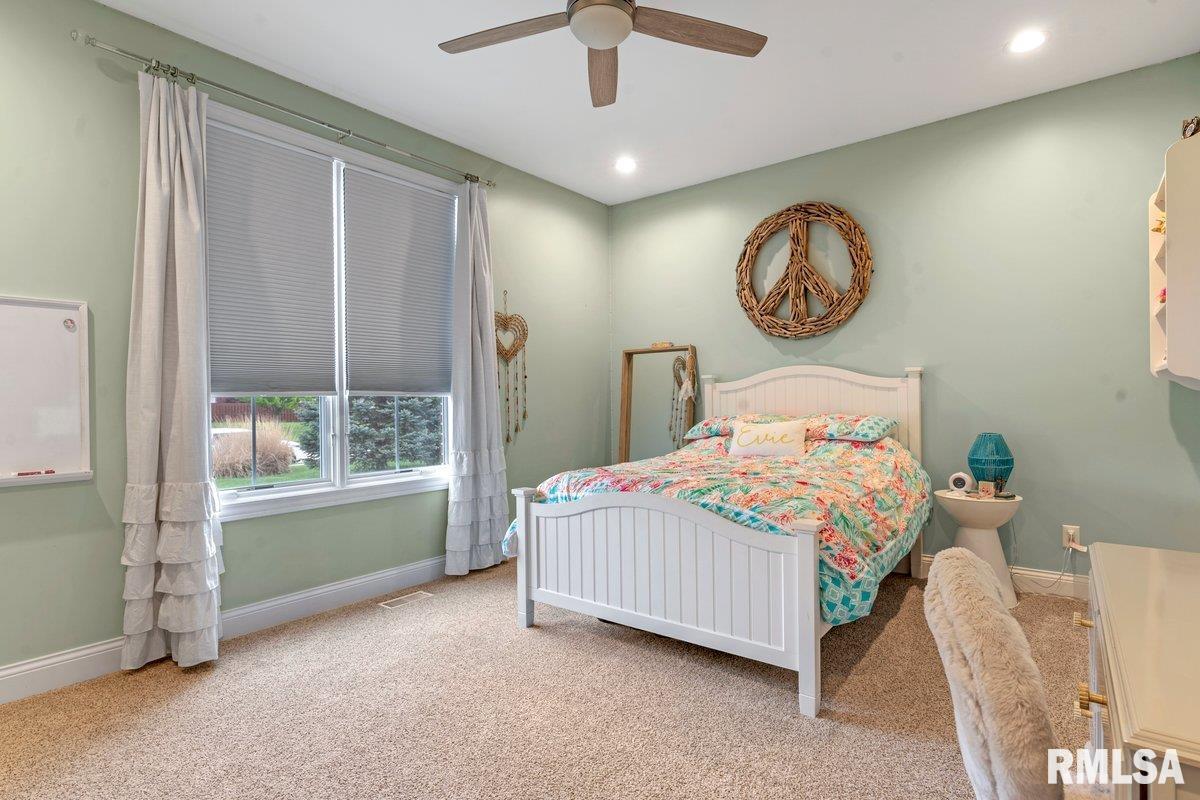 113 Ramblewood Road Chatham, IL 62629 - Photo 28 of 43 Gallery Image 28