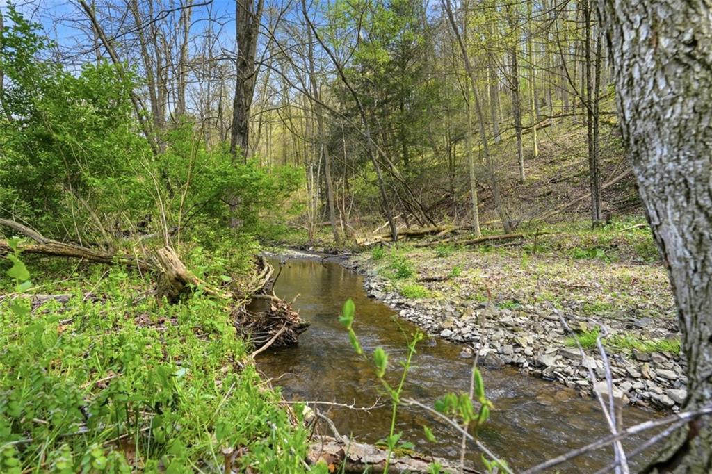 1165 Gypsy Glen Road Beaver, PA 15009 - Photo 44 of 50