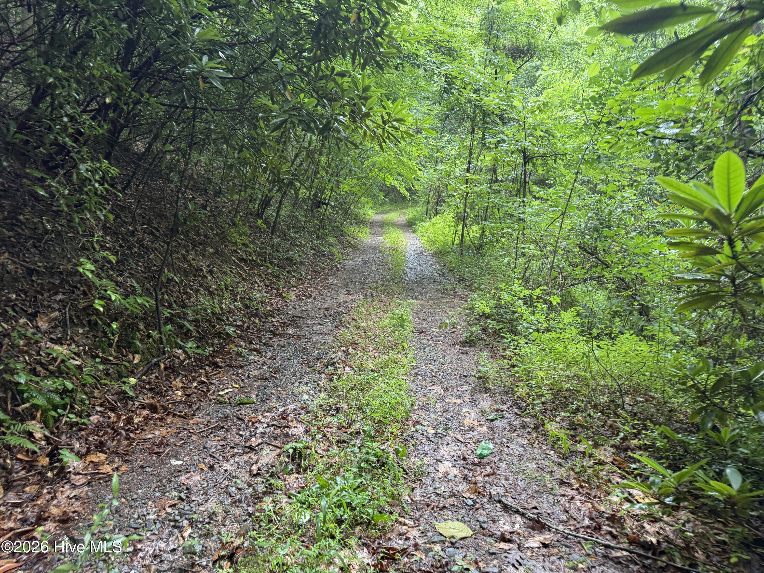 0 Poley Morrow Road Murphy, NC 28906 - Photo 1 of 3