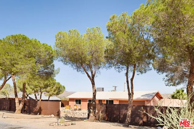 a view of a large trees