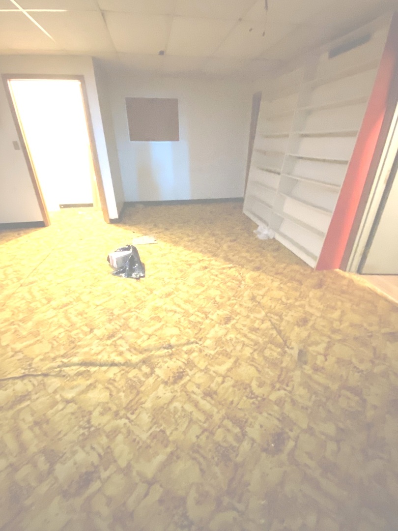 1902 County Road 3000 North Rantoul, IL 61866 - Photo 73 of 91