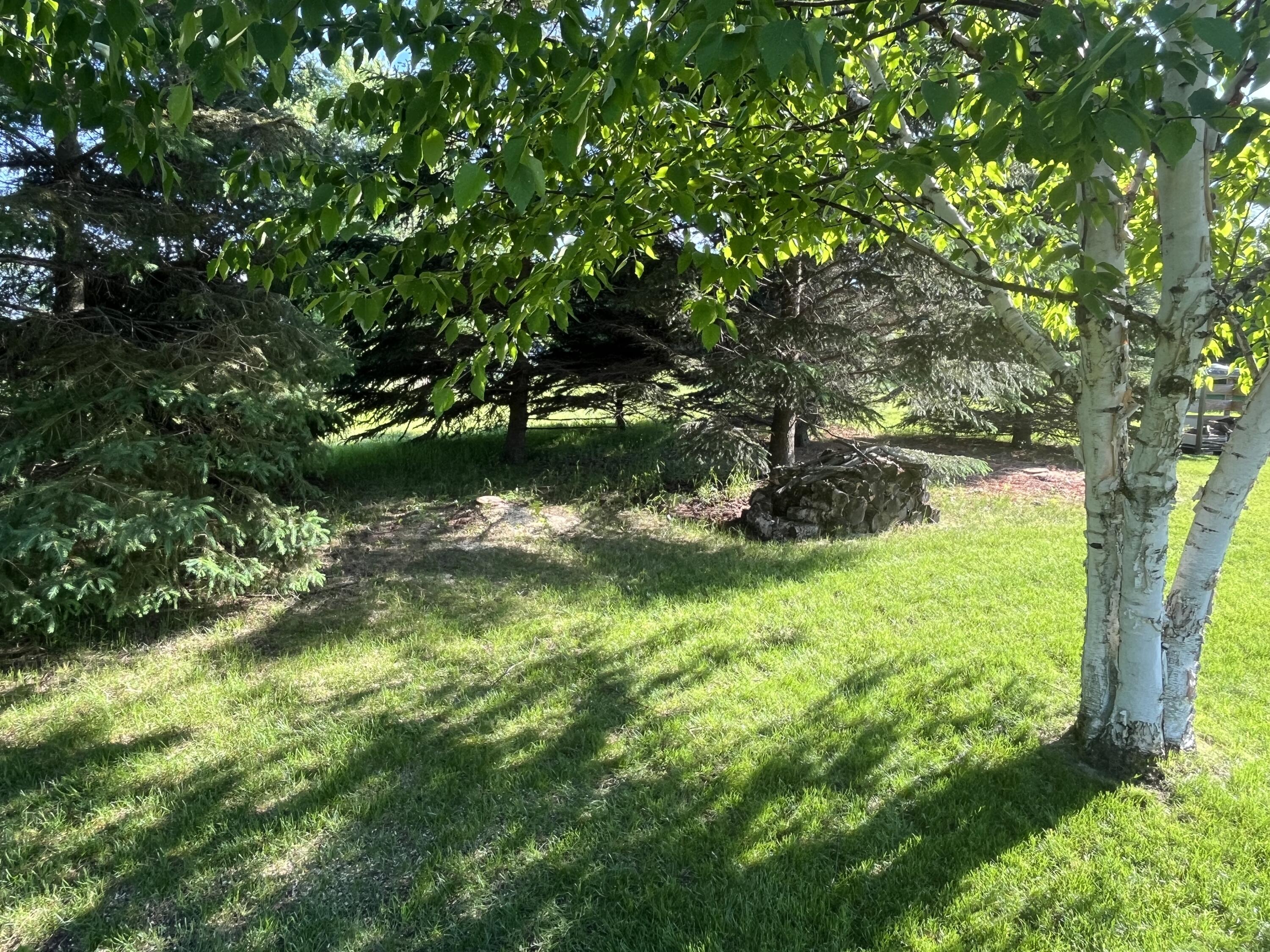 11105 Meadow Ridge Road Whitelaw, WI 54247 - Photo 122 of 126 Yard View 3
