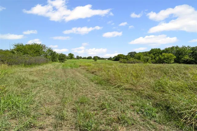 a view of a green field with lots of green space