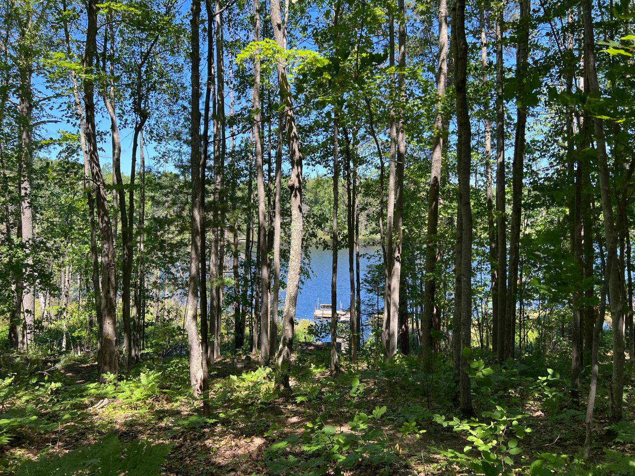 1666 O Neil Road Eagle River, WI 54521 - Photo 17 of 59 Gallery Image 17