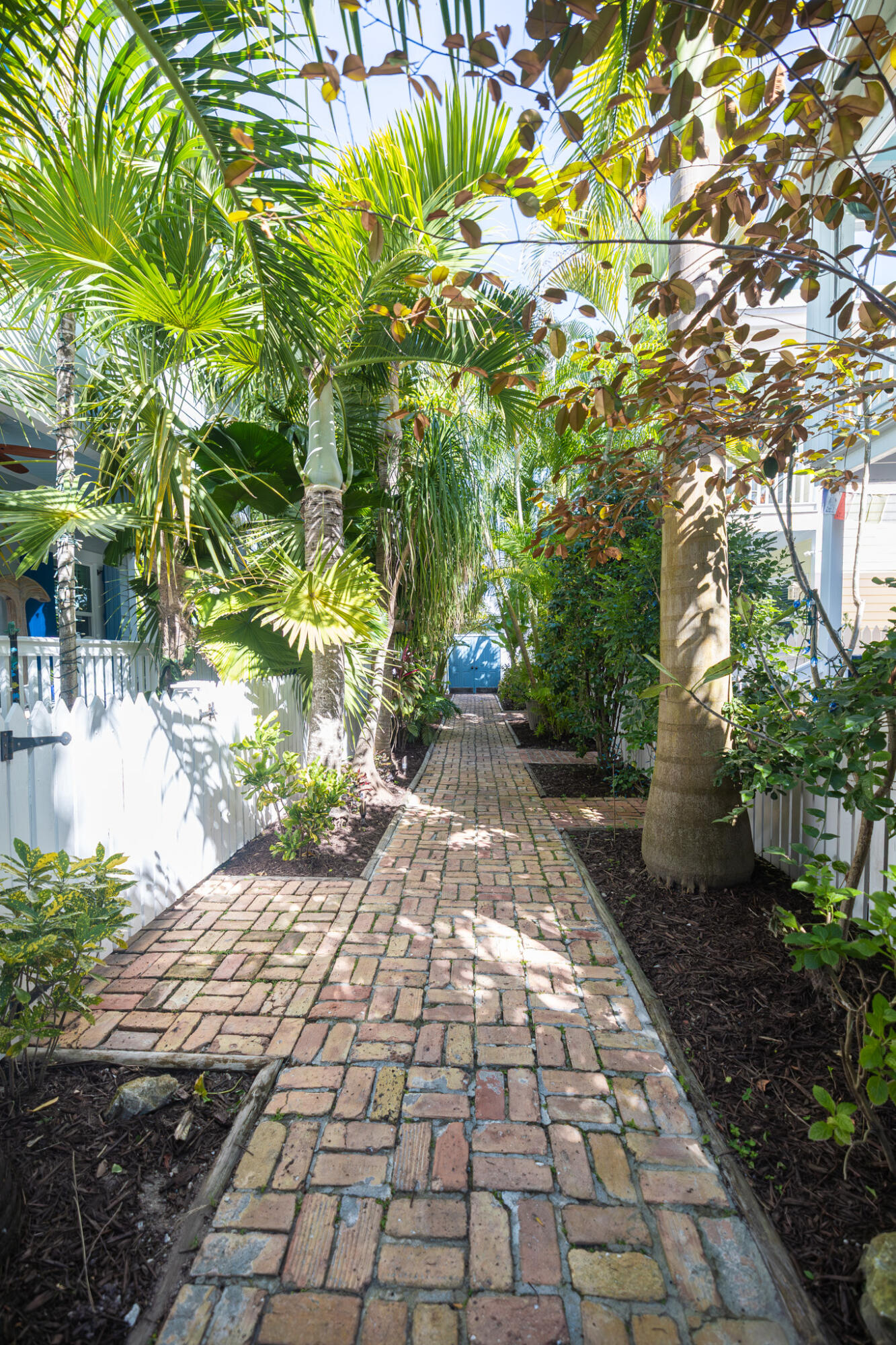 1012 Packer Street, Unit 7A Key West, FL 33040 - Photo 17 of 20 a view of yard