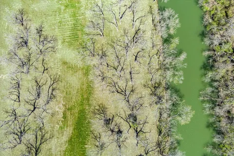 a view of a field with trees in the background