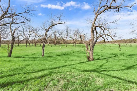 a backyard of a house with lots of green space