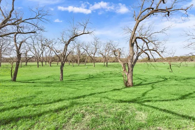 a backyard of a house with lots of green space
