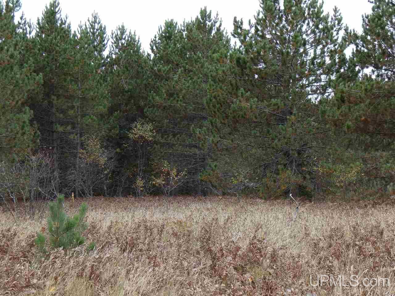 Tbd Traprock Valley Road Calumet, MI 49913 - Photo 7 of 17