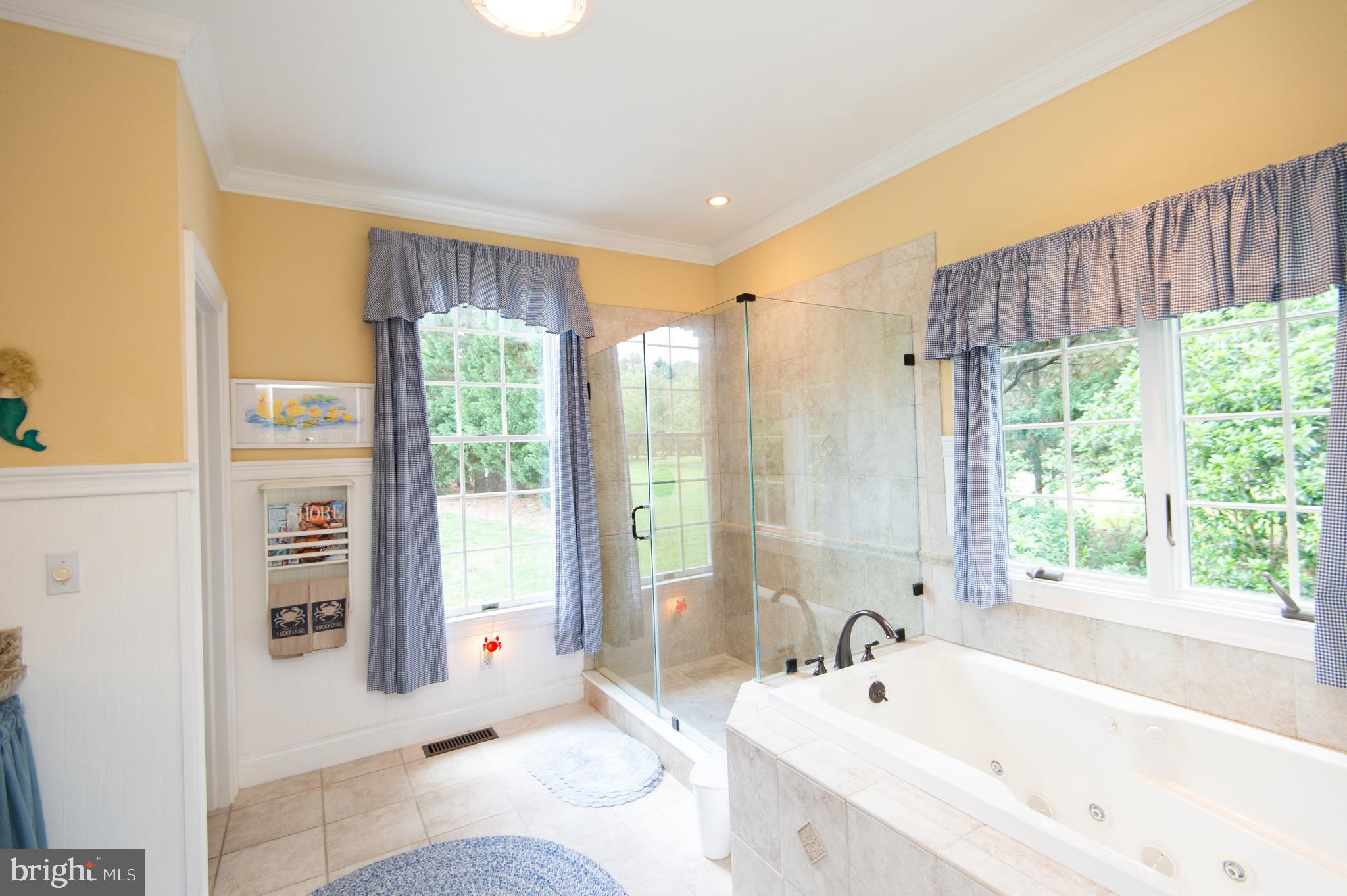 28028 Playtor Road Easton, MD 21601 - Photo 31 of 80 a bathroom with a bathtub and a sink
