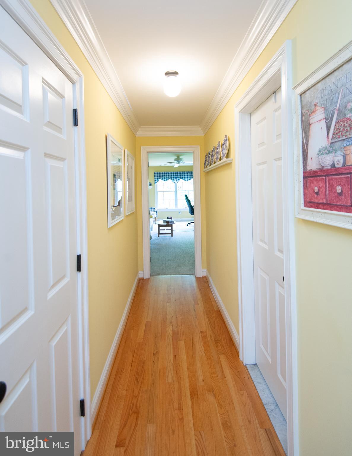 28028 Playtor Road Easton, MD 21601 - Photo 51 of 80