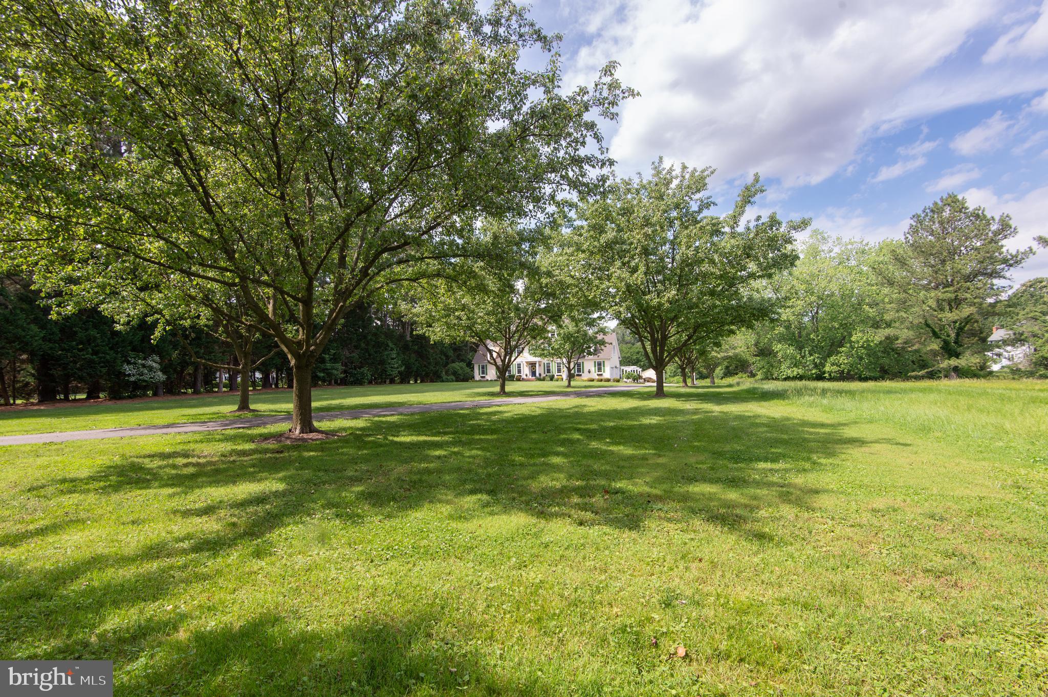 28028 Playtor Road Easton, MD 21601 - Photo 7 of 80 a huge green field with lots of trees