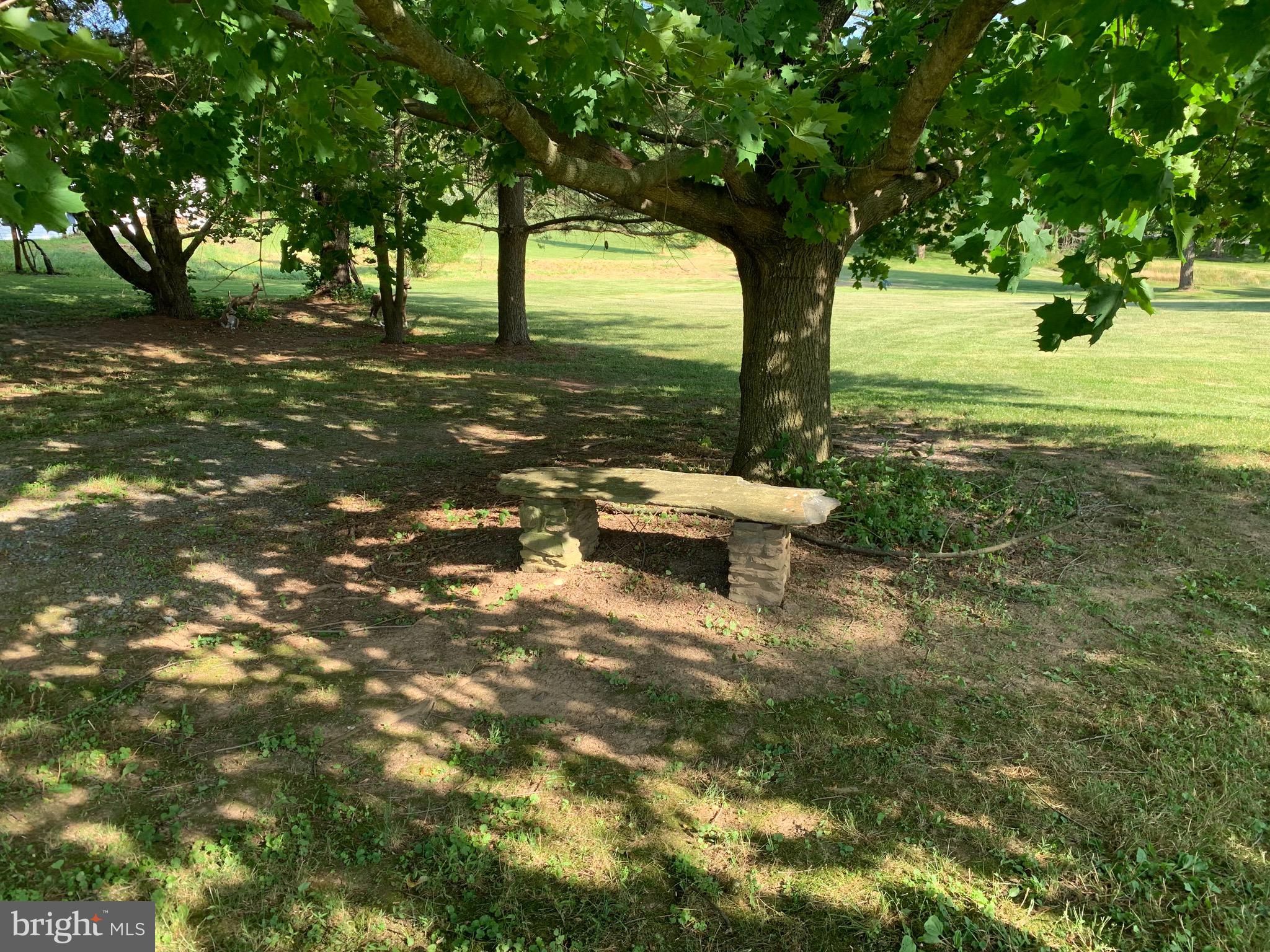 11350 Baker Road Keymar, MD 21757 - Photo 86 of 102 shade tree