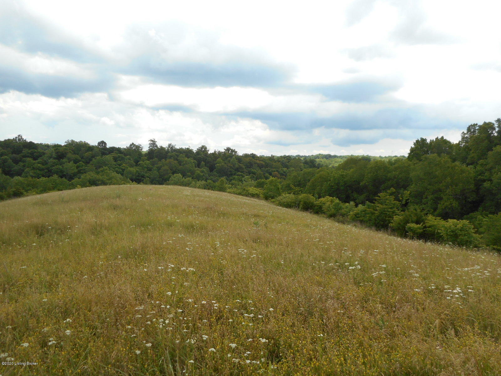 2010 Hickory Ridge Road Mount Eden, KY 40046 - Photo 49 of 65 DSCN3463