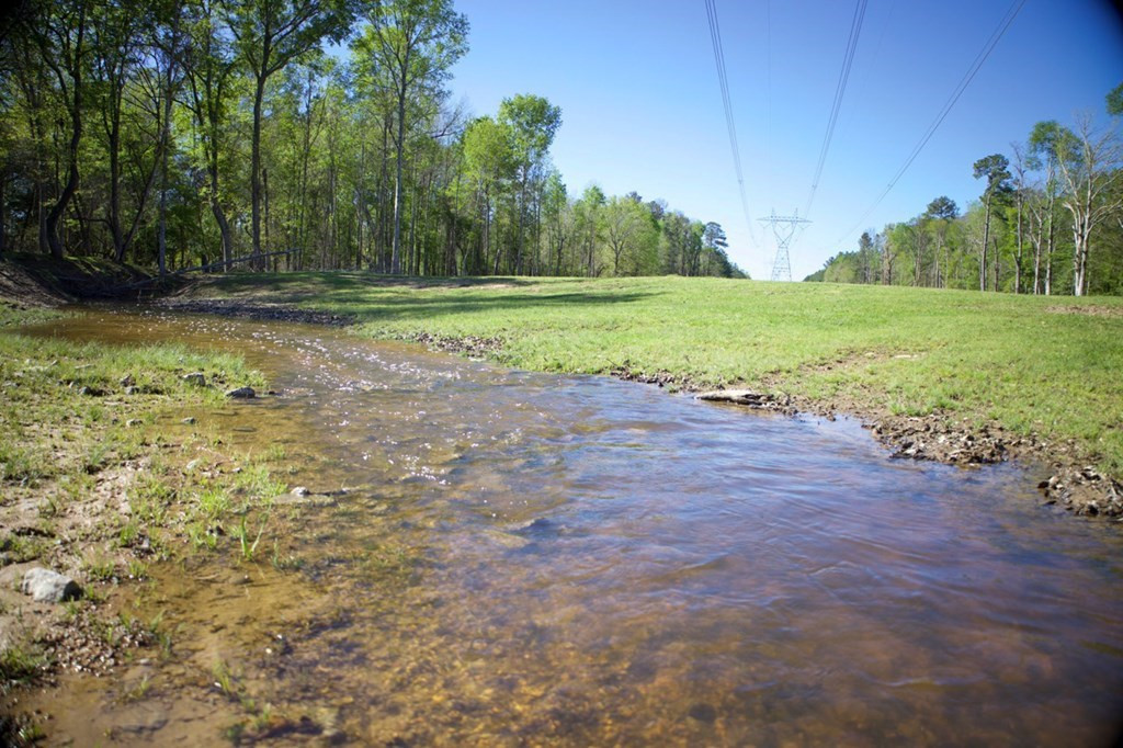 2423 Greensburg Road Liberty, MS 39645 - Photo 22 of 43 Photo 22