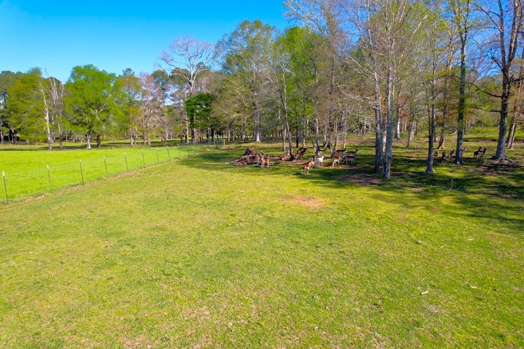 2423 Greensburg Road Liberty, MS 39645 - Photo 33 of 43 Photo 33