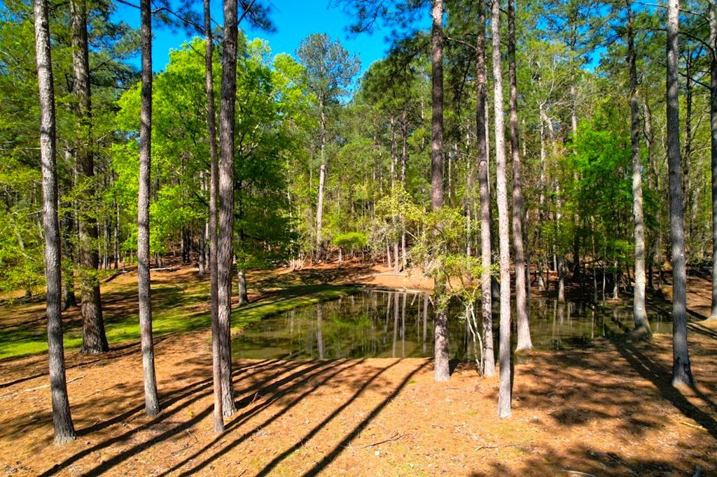 2423 Greensburg Road Liberty, MS 39645 - Photo 35 of 43 Photo 35