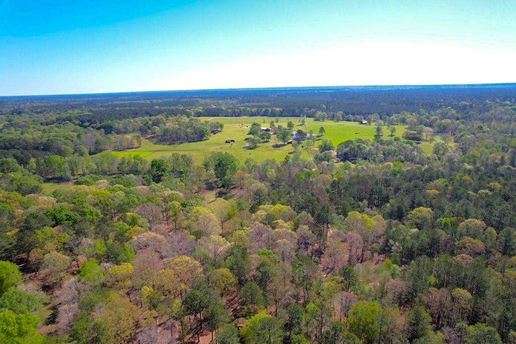 2423 Greensburg Road Liberty, MS 39645 - Photo 37 of 43 Photo 37