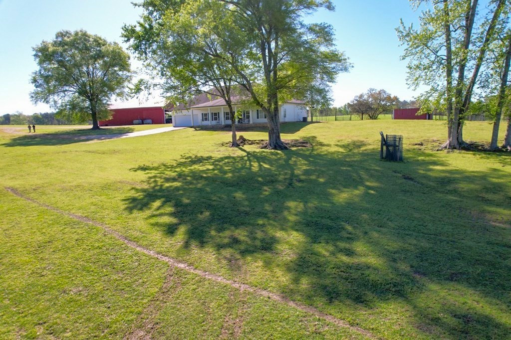 2423 Greensburg Road Liberty, MS 39645 - Photo 4 of 43 Photo 4