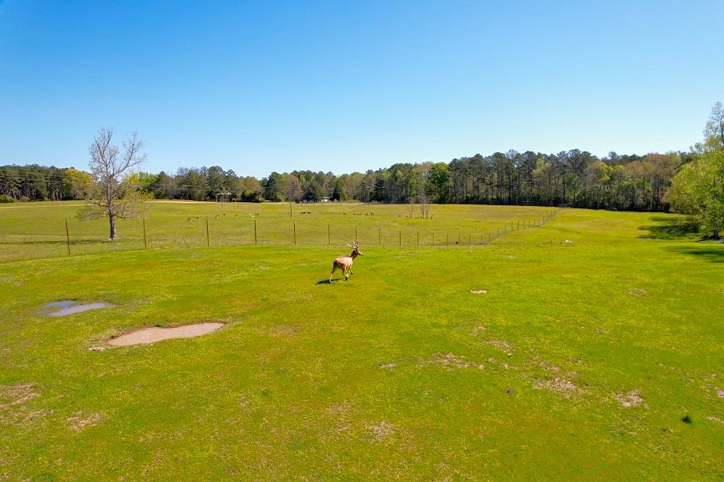 2423 Greensburg Road Liberty, MS 39645 - Photo 41 of 43 Photo 41