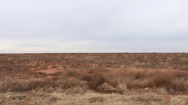 $67,500 | 0 North 385 Highway Highway, Amherst, TX 79312