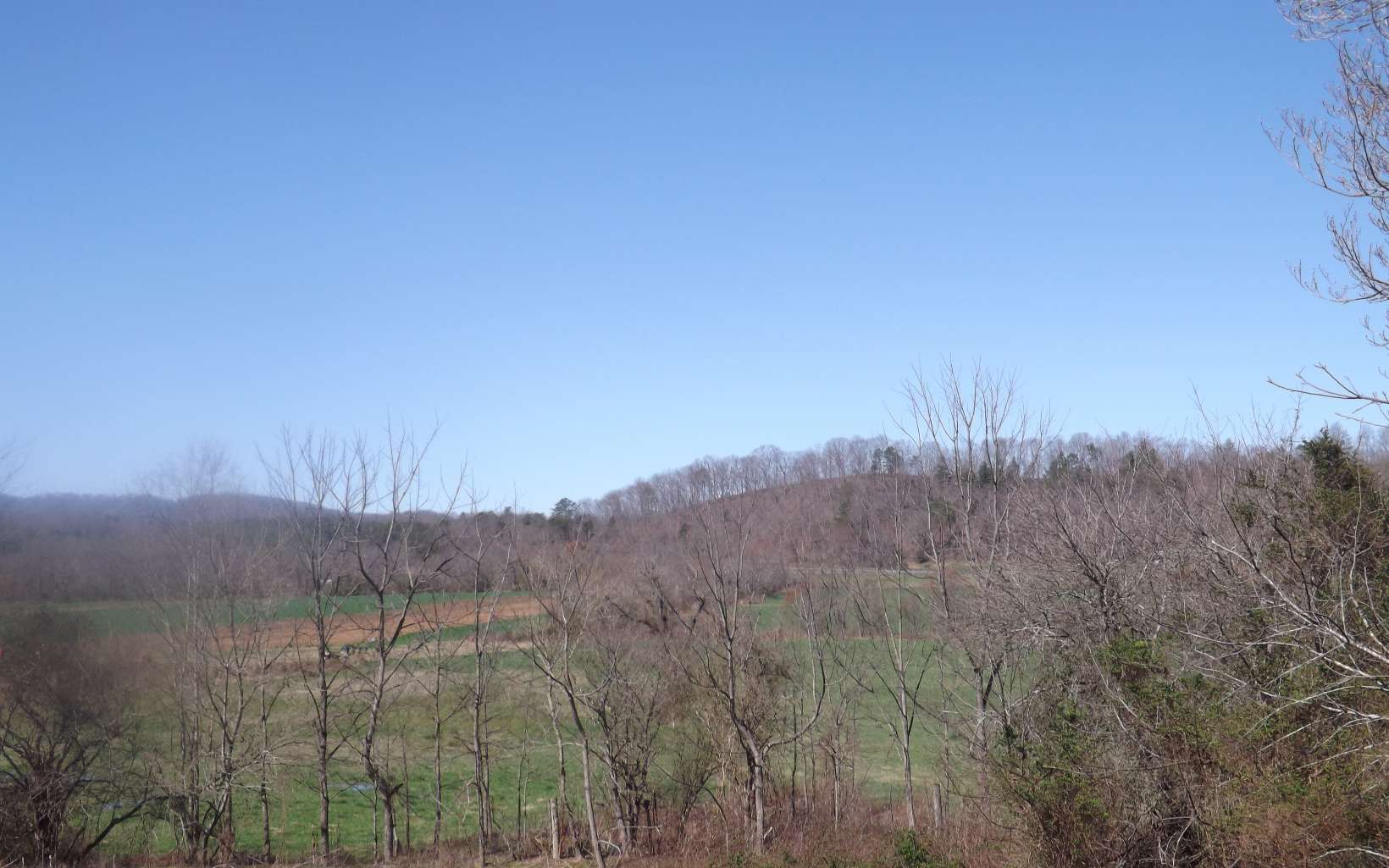 26 W Road Warne, NC 28909 - Photo 4 of 22 Additional View