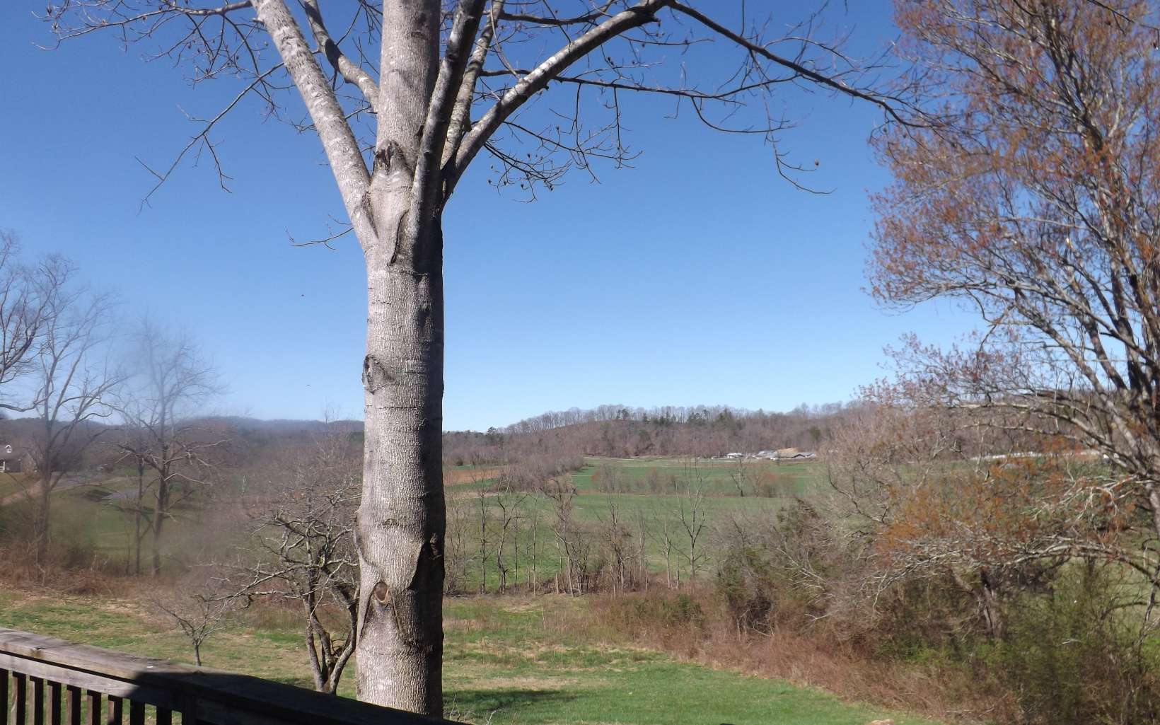 26 W Road Warne, NC 28909 - Photo 5 of 22 Additional View