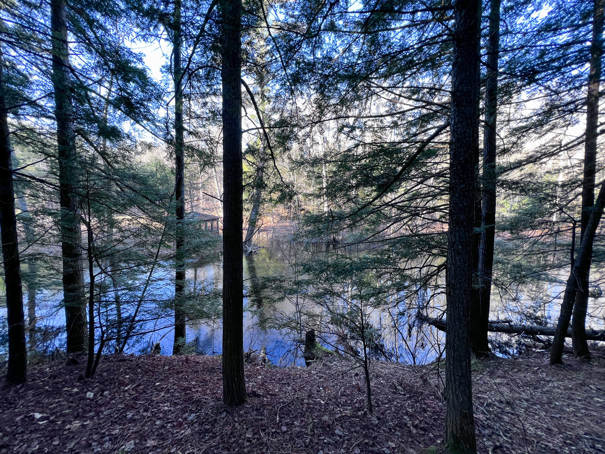1 Flat Ground Road Acton, ME 04001 - Photo 17 of 34 IMG_2348