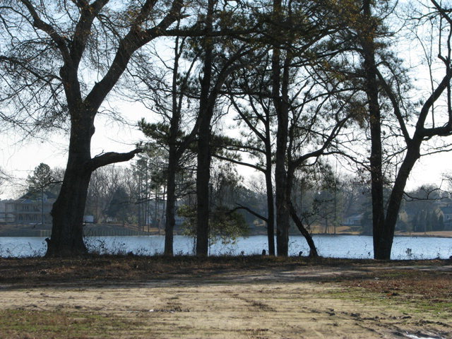 Lot 50 Lot Loop Bath, NC 27808 - Photo 4 of 5 Additional Photo