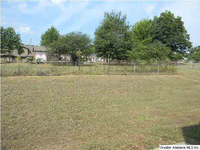 121 Mangrove Drive Alabaster, AL 35007 - Photo 14 of 14