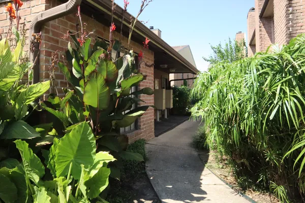 a backyard of a house with lots of green space