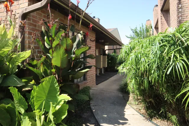 a backyard of a house with lots of green space