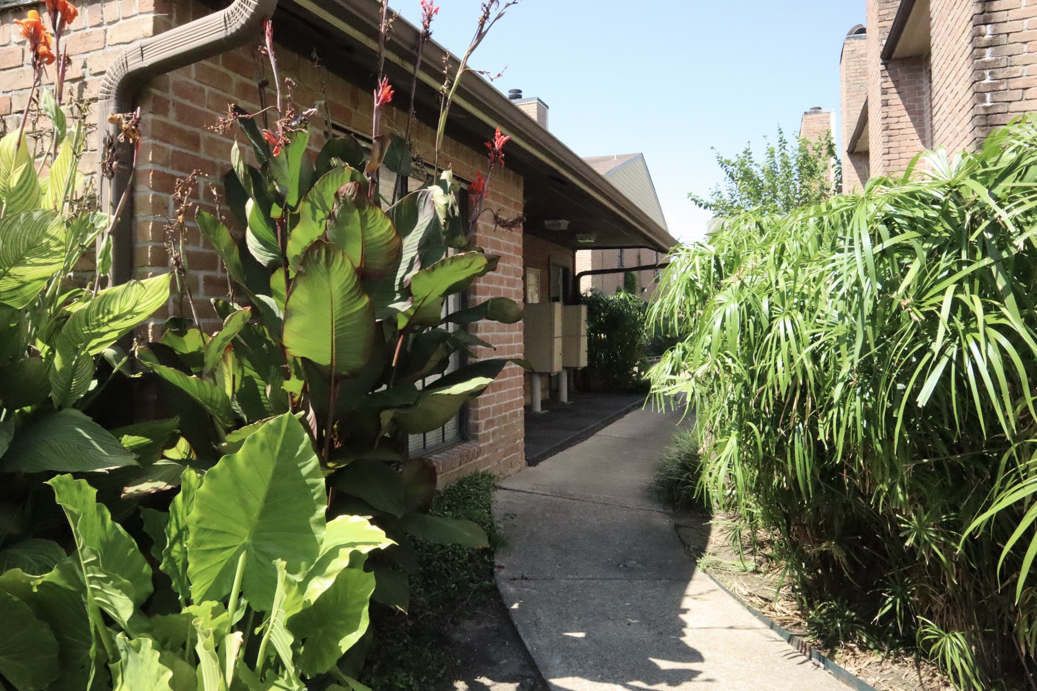 10912 Gulf Freeway, Unit 25 Houston, TX 77075 - Photo 17 of 23 a backyard of a house with lots of green space