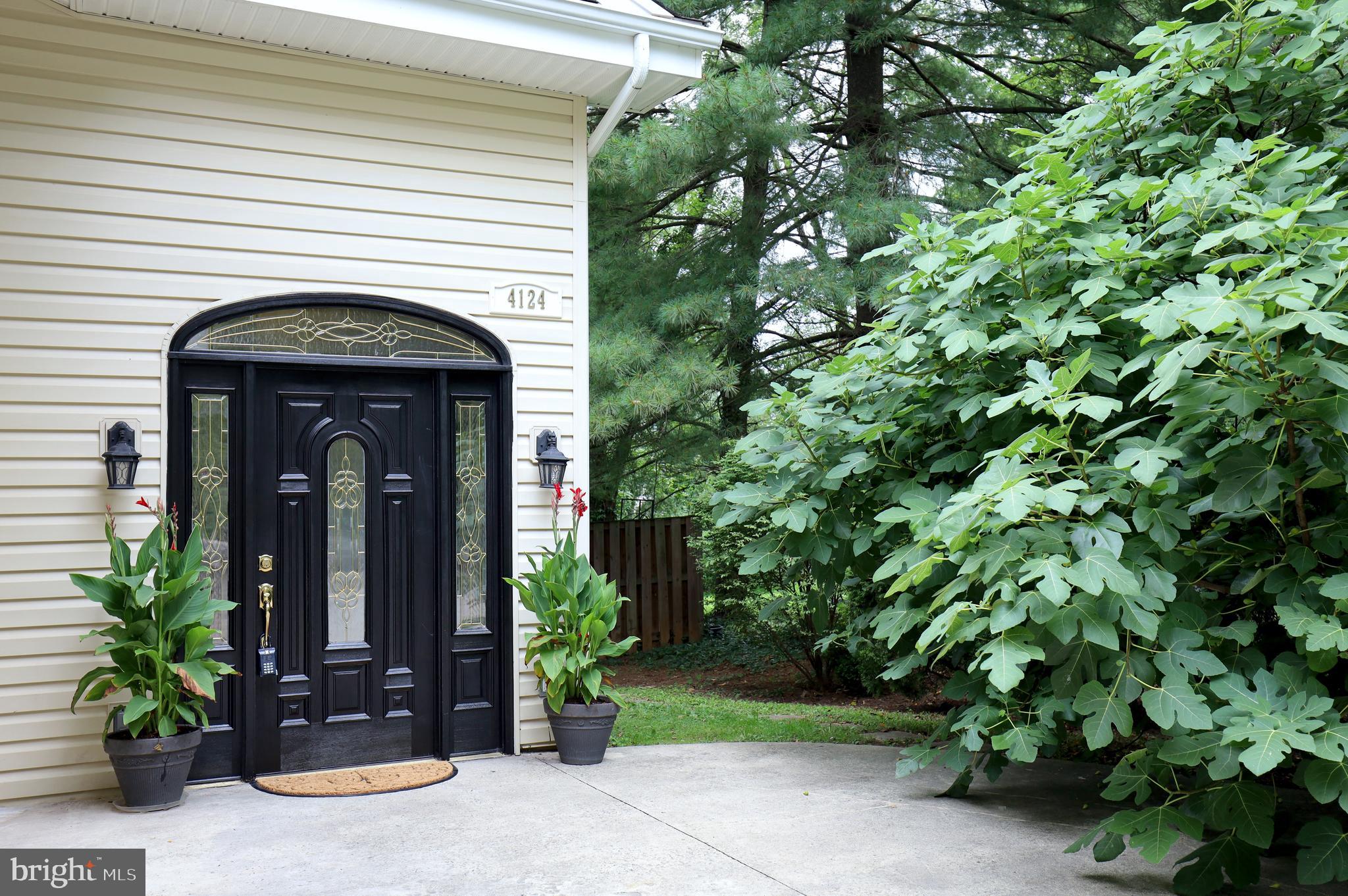 4124 Hunt Road Fairfax, VA 22032 - Photo 3 of 66 Front Entrance