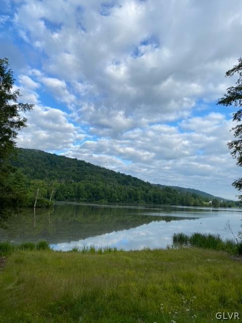 Reflection Lake Road Little Meadows, PA 18830 - Photo 3 of 6 a view of a lake with a big yard