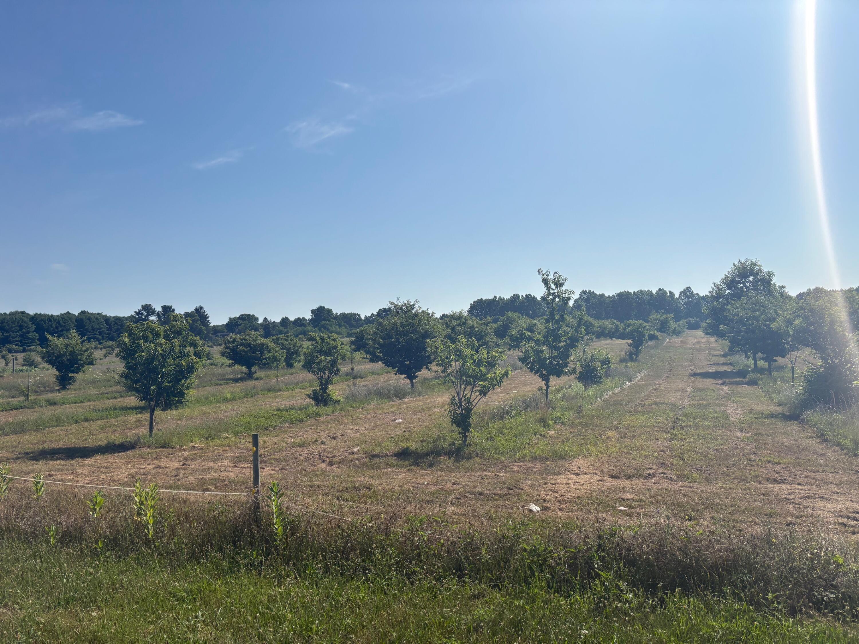 Leach Road Dowagiac, MI 49047 - Photo 1 of 1 Property