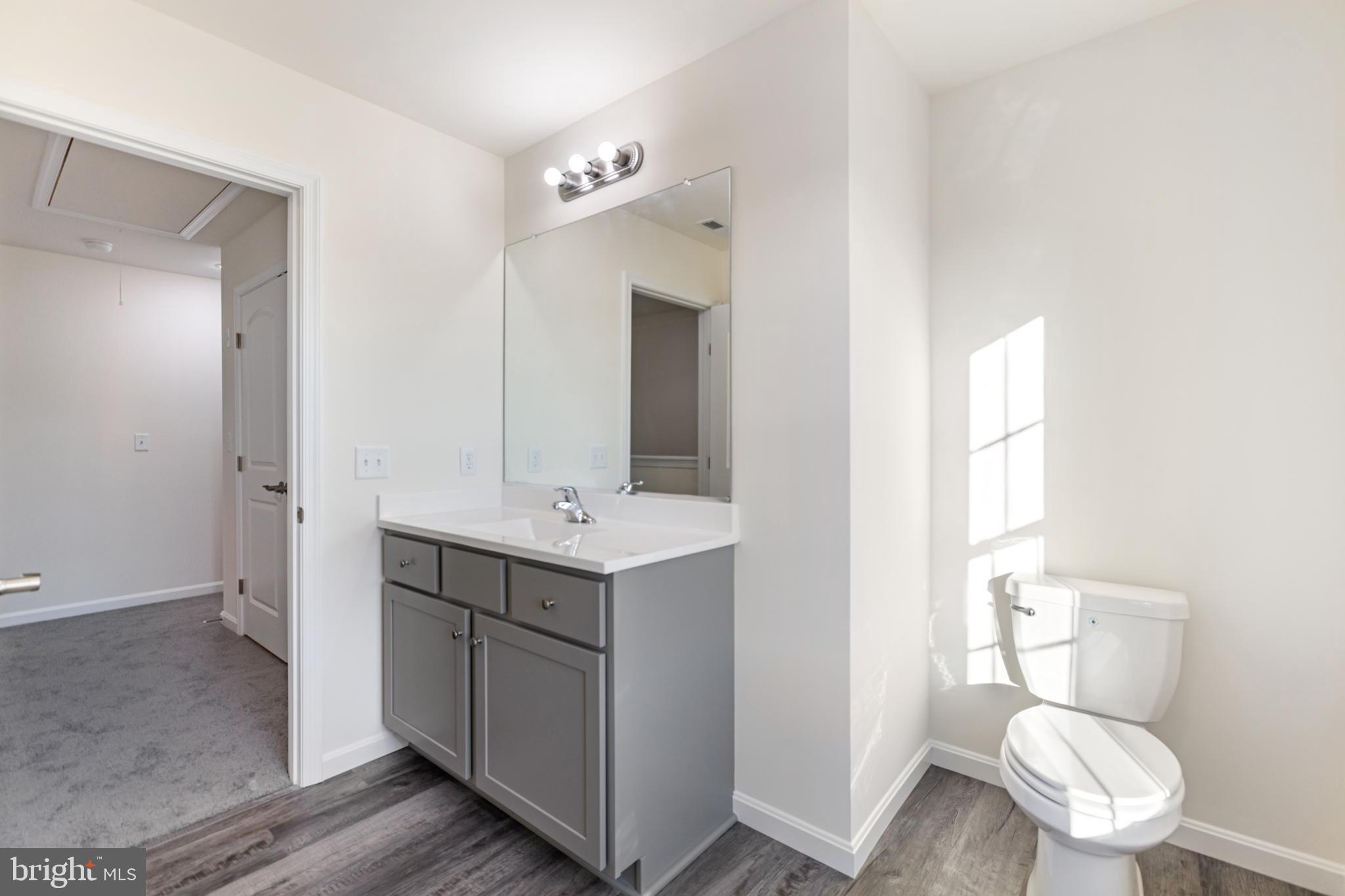 21625 Hackney Circle Lincoln, DE 19960 - Photo 45 of 46 a bathroom with a toilet sink vanity and mirror