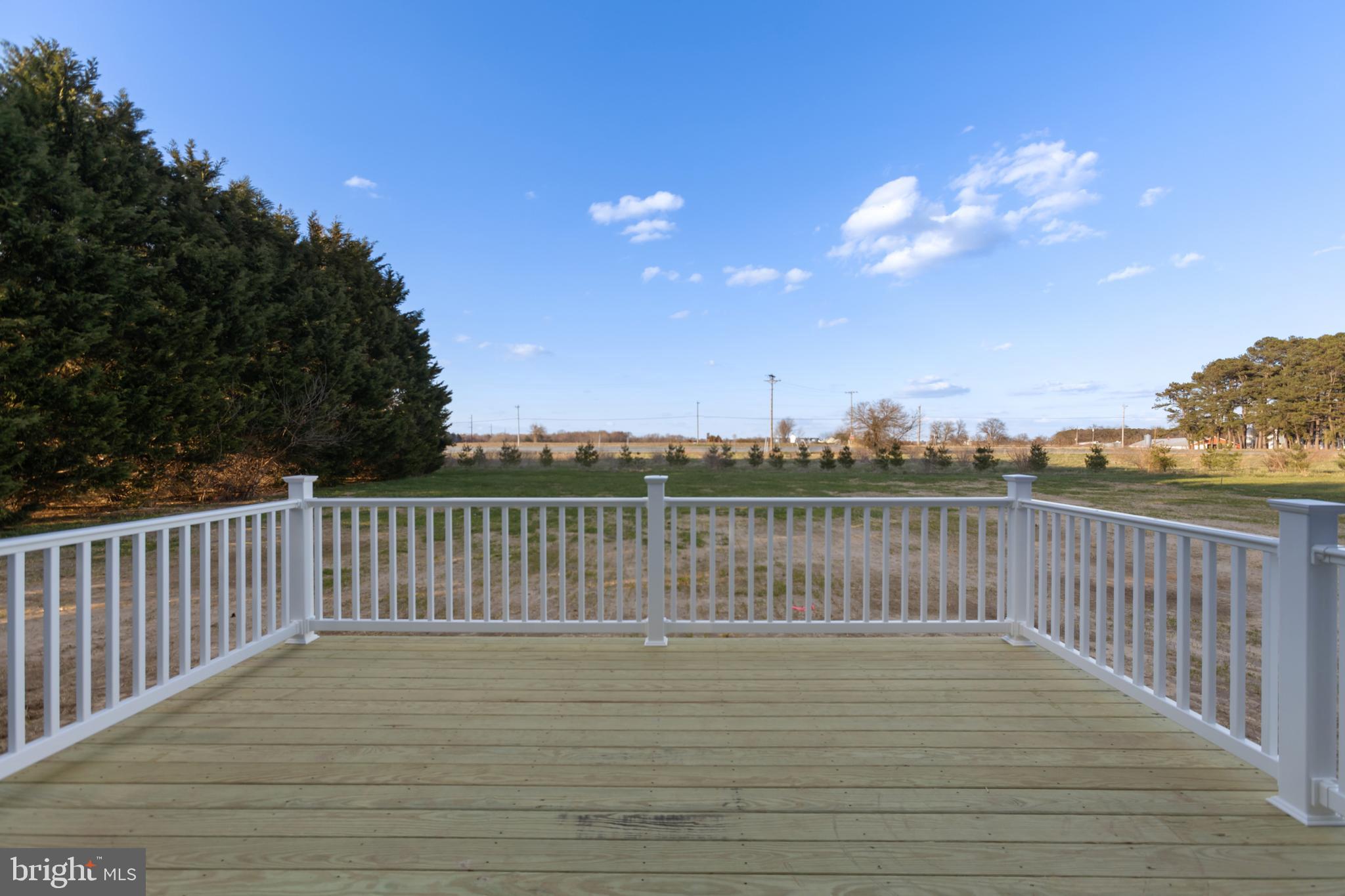 21625 Hackney Circle Lincoln, DE 19960 - Photo 46 of 46 a view of balcony with wooden floor