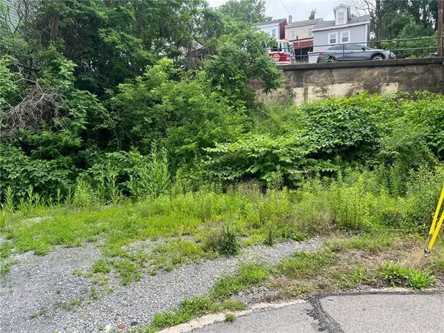 $24,500 | 2415 South 18th Street, Pittsburgh, PA 15210