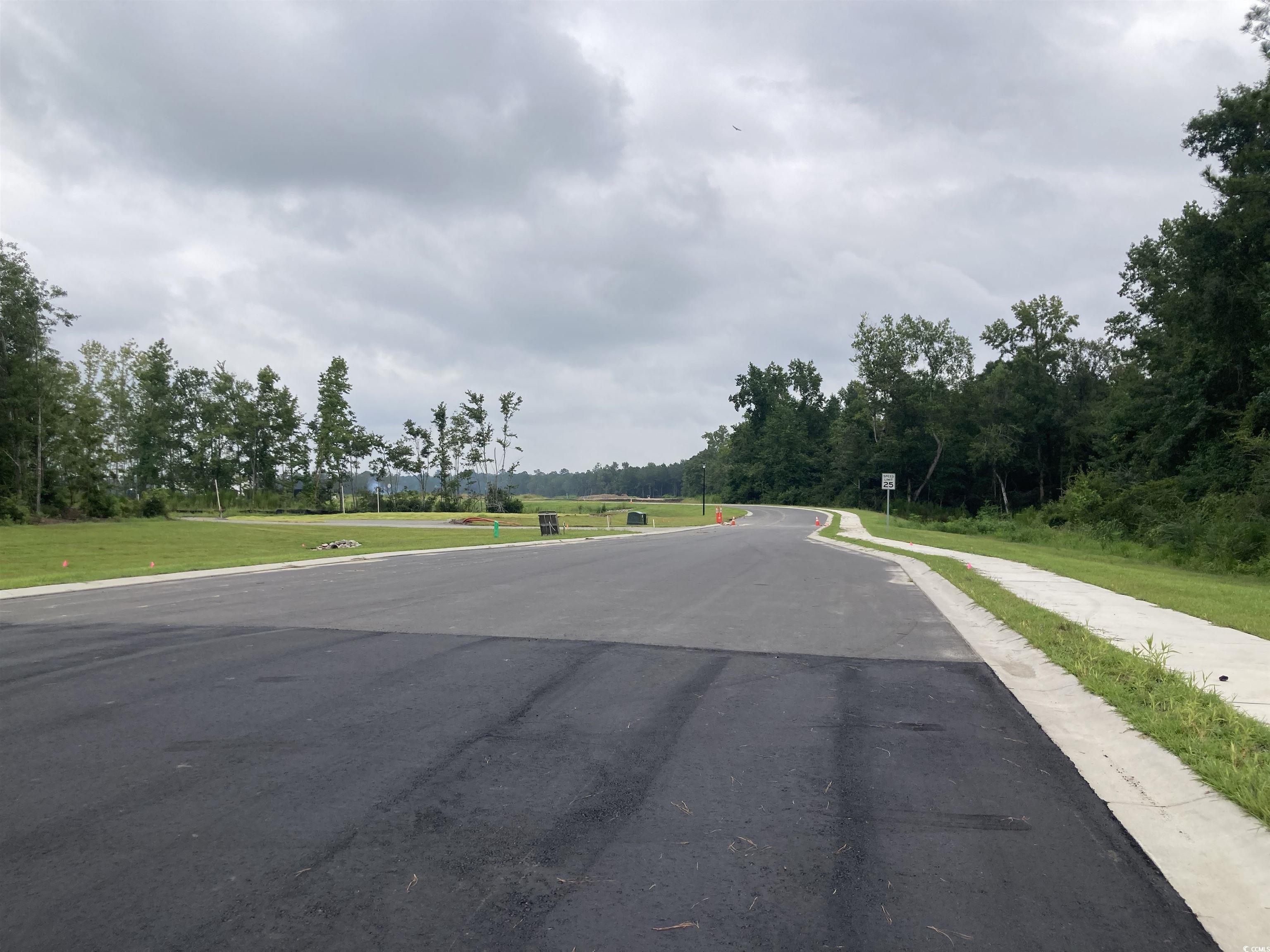 137 River Birch Drive Loris, SC 29569 - Photo 11 of 17 View of asphalt street featuring sidewalks and curbs