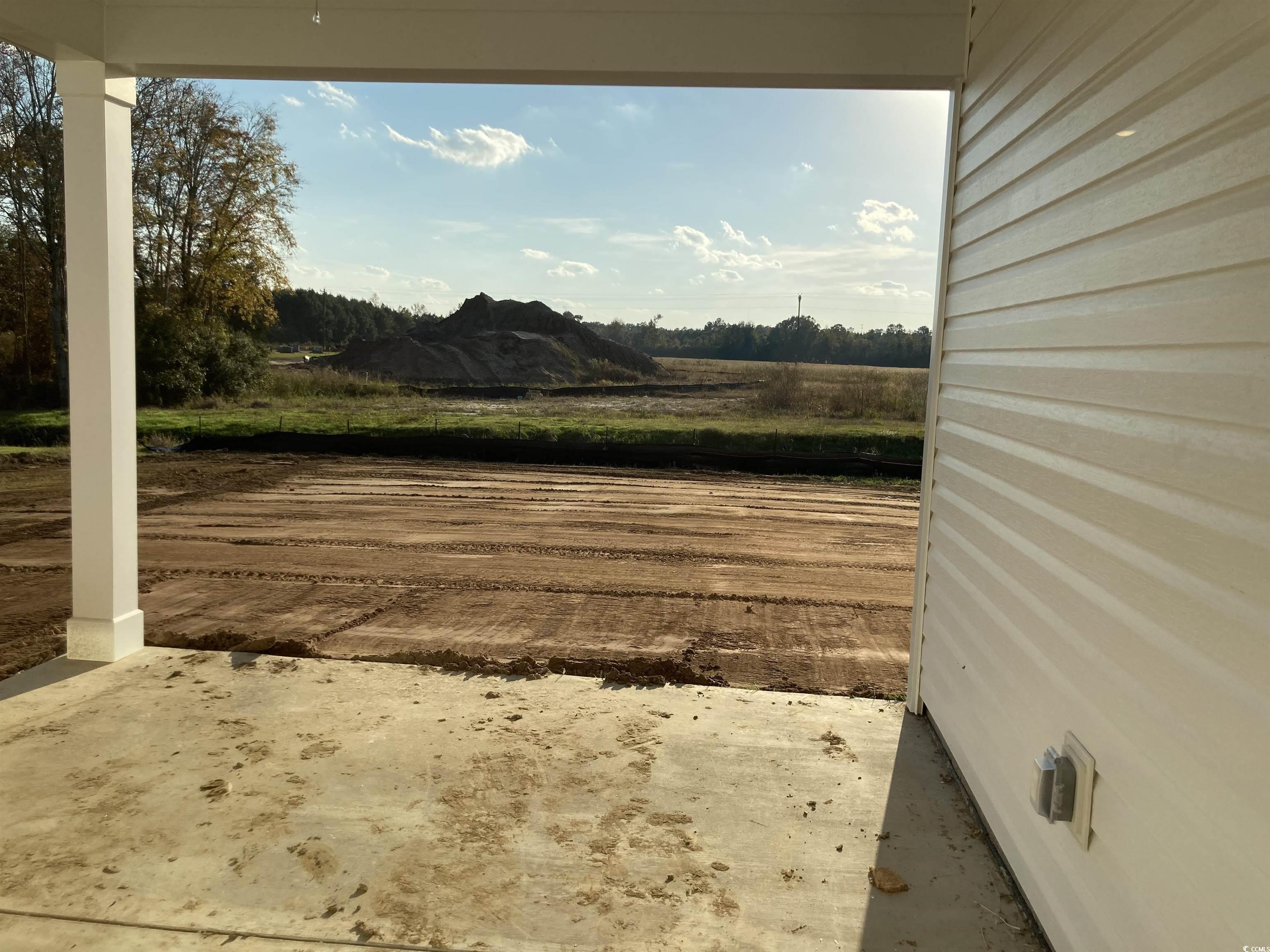 137 River Birch Drive Loris, SC 29569 - Photo 9 of 17 View of yard featuring a patio