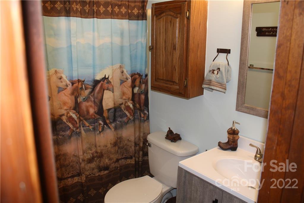 33 Fernbrook Road Maggie Valley, NC 28751 - Photo 13 of 36 a bathroom with a sink toilet and shower