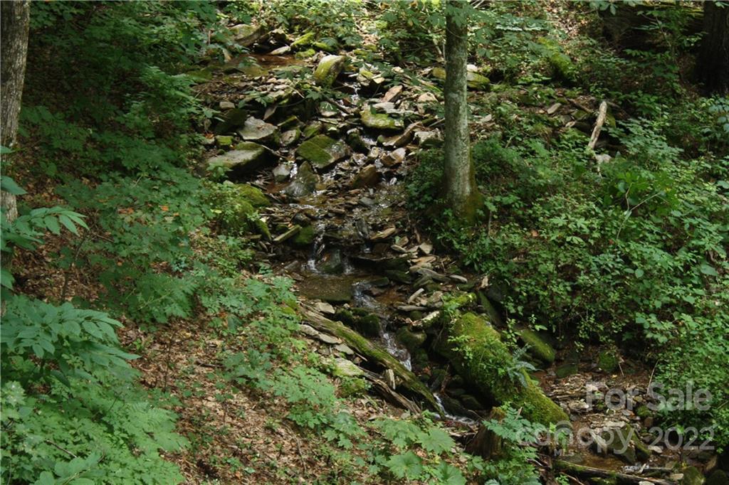 33 Fernbrook Road Maggie Valley, NC 28751 - Photo 23 of 36 a view of a tree
